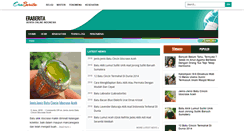 Desktop Screenshot of eraberita.com